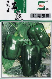 91号甜椒 辣椒 蔬菜种子 蔬菜产品博览